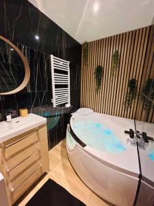 T4 jolie vue avec jaccuzzi في فيتروي: حمام مع حوض استحمام ومغسلة