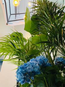 a vase filled with blue flowers and a plant at Apartamentos BRAVO MURILLO con garaje en centro histórico in Badajoz