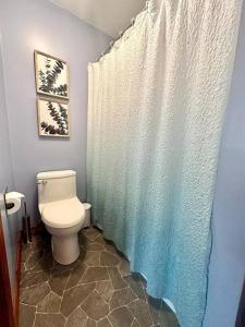 a bathroom with a toilet and a shower curtain at Terra Organica in Courtenay