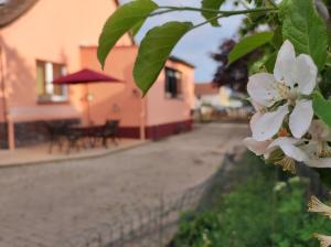 Zahrada ubytování Storchennest mit eigenem Hof, Spielwiese und Terrasse