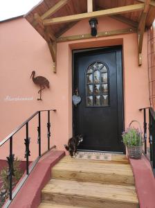 a cat sitting on the stairs next to a black door at Storchennest mit großem Garten für Urlaubsgäste in Nauen