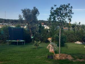 Zahrada ubytování Casa Villa El Olivar