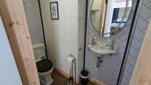 a small bathroom with a toilet and a sink at Romantic Hideaway in Trawsfynydd