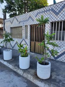 three potted trees in white pots in front of a building at Mini Casa independente no bairro Praia das Gaivotas in Vila Velha