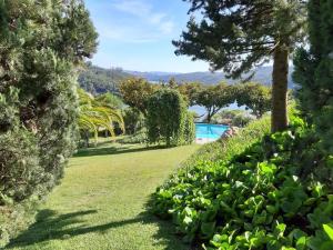 a green yard with trees and a swimming pool at Douro Charming Chalet in Melres