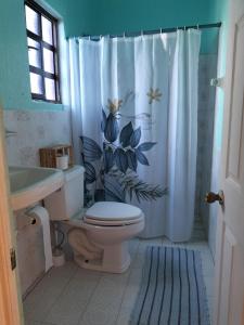 een badkamer met een toilet en een douchegordijn bij Casa Brenamiel in Santa María Azompa