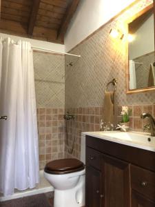 埃爾米瓜的住宿－Casa Matilde，一间带卫生间和水槽的浴室