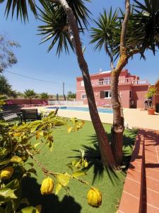 Fotografie z fotogalerie ubytování Villa Paradis Pêra - Quartos para férias v destinaci Pêra