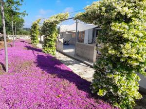 un giardino con fiori rosa e un arco di Dimora Bianca a Cisternino