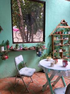 een tafel en een stoel in een kamer met planten bij Casa Brenamiel in Santa María Azompa