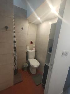 a small bathroom with a toilet and a shower at Superbe studio sur Nice in Nice