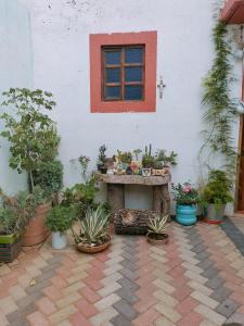 een patio met potplanten en een tafel voor een gebouw bij Casa Brenamiel in Santa María Azompa