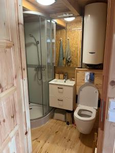 La petite salle de bains est pourvue d'une douche et de toilettes. dans l'établissement Domek Letniskowy nad Jeziorem, Las, Mazury, à Wiartel Mały