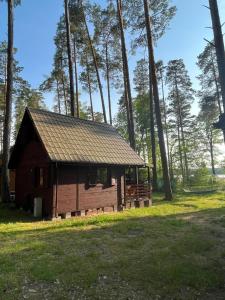 une petite cabine dans un champ arboré dans l'établissement Domek Letniskowy nad Jeziorem, Las, Mazury, à Wiartel Mały