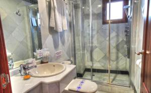 a bathroom with a shower and a sink and a toilet at Hotel Mirador Arabeluj in Granada