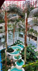 an indoor pool with palm trees in a building at Benal Beach Vibe in Benalmádena