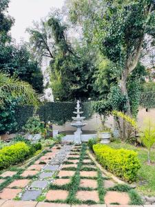 a garden with a fountain in the middle of a pathway at OneOnArumAvenue in Johannesburg