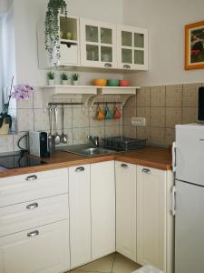 Apartments Prosperina Hvar في هفار: مطبخ فيه دواليب بيضاء وثلاجة بيضاء
