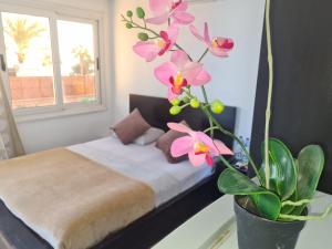 um quarto com uma cama e um vaso de plantas em Lilly Lounge and Pool Accommodation for Adults Only em Hurghada