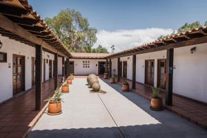 a courtyard of a building with potted plants at Casa Entrevez in Valle de Guadalupe