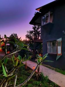 Gallery image of marari rapa nui in Hanga Roa