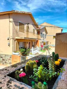 a flower garden in front of a house at Villa Manolo in Guadarrama
