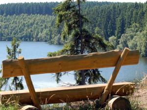una panchina di legno seduta sul lato di un lago di Semi-detached house, Hasselfelde a Hasselfelde