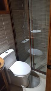uma casa de banho com um WC e um chuveiro em CABAÑAS LODGE LOS COIHUES 2 VALLE LAS TRANCAS/TERMAS DE CHILLAN /NEVADOS DE CHILLAN em Pinto