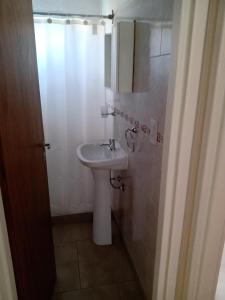 ein kleines Badezimmer mit Waschbecken und Dusche in der Unterkunft El refugio in San Antonio de Areco
