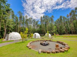a fire pit in a park with two tents at HOSHIFULL DOME FUJI in Fujikawaguchiko
