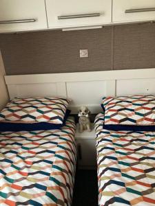 Pokój z dwoma łóżkami i wypchanym zwierzakiem między nimi w obiekcie Luxury Caravan - WI-FI and SMART TV newly installed w mieście Rhyl