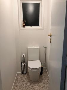 a white toilet in a bathroom with a window at Townhouse on Courtenay in New Plymouth