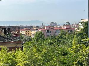 ナポリにあるCasa Biancaの建物や木々が並ぶ市街の景色