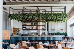 Pića u objektu Bannisters Port Stephens