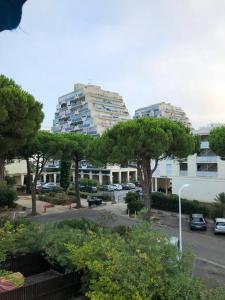 Blick auf einen Parkplatz mit Bäumen und Gebäuden in der Unterkunft studio parking privé climatisation plage proche in La Grande-Motte