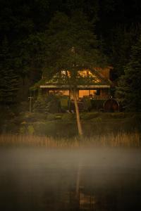 Příroda nedaleko chaty