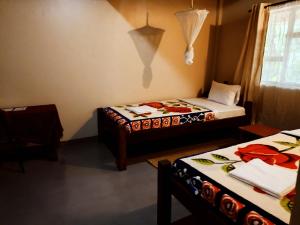 1 dormitorio con 2 camas y ventana en Shamba Hostel, en Usa River