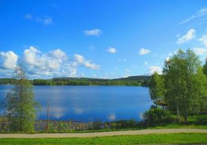 a view of a large blue lake with trees at Retrohenkinen kaksio Nurmeksen keskustassa. in Nurmes