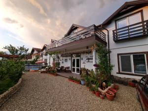 een huis met potplanten ervoor bij CASA ARYAN in Sînpetru