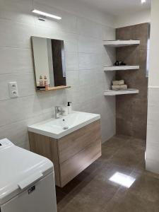 un bagno con lavandino e specchio di Chaloupka a Příbraz Altre 10 foto