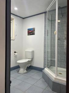 a bathroom with a toilet and a shower at The Forest Lodge in Mount Tamborine