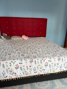 Schlafzimmer mit einem Bett mit rotem Kopfteil in der Unterkunft La fam in Huajuapan de León