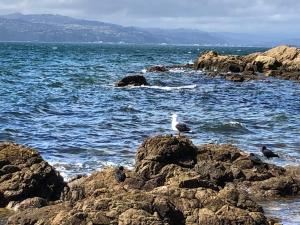 Paesaggio naturale nelle vicinanze della stanza in casa privata