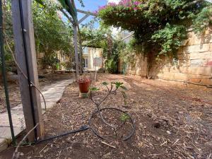 um jardim com uma mangueira ligada a uma planta em The Luxury Home - Next to airport! em Kirkop