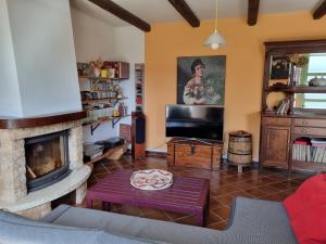 sala de estar con chimenea y TV en Casa Monte Bracco, en Rifreddo