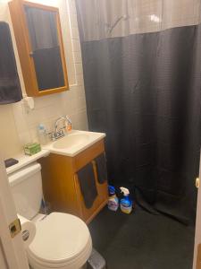 ein Bad mit einem WC, einem Waschbecken und einer Dusche in der Unterkunft Birdys Nest in Las Vegas