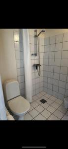 a white bathroom with a toilet and a shower at Vejskrækgården in Fæbæk