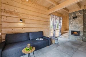 a living room with a couch and a fireplace at Pienińska Przystań in Kluszkowce