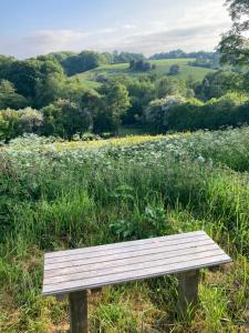 un banco de madera sentado en un campo de flores en The Shepherd's Hut with pool June - August, en Wrexham