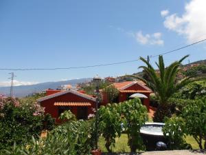 a house with a lot of plants and trees at Casa Isabel in Icod el Alto